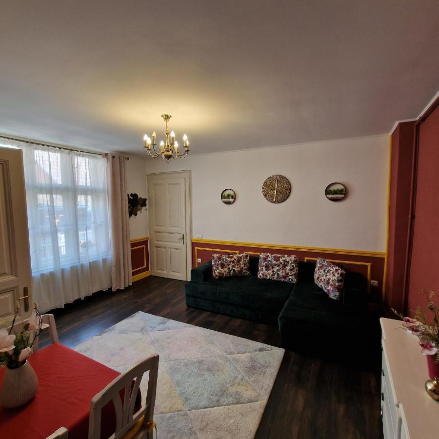 Central Park Apartment Sighişoara Extérieur photo